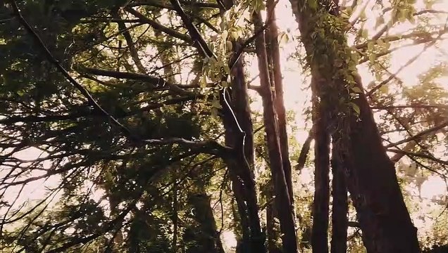 Die Boten des Todes | movie | 2022 | Official Trailer