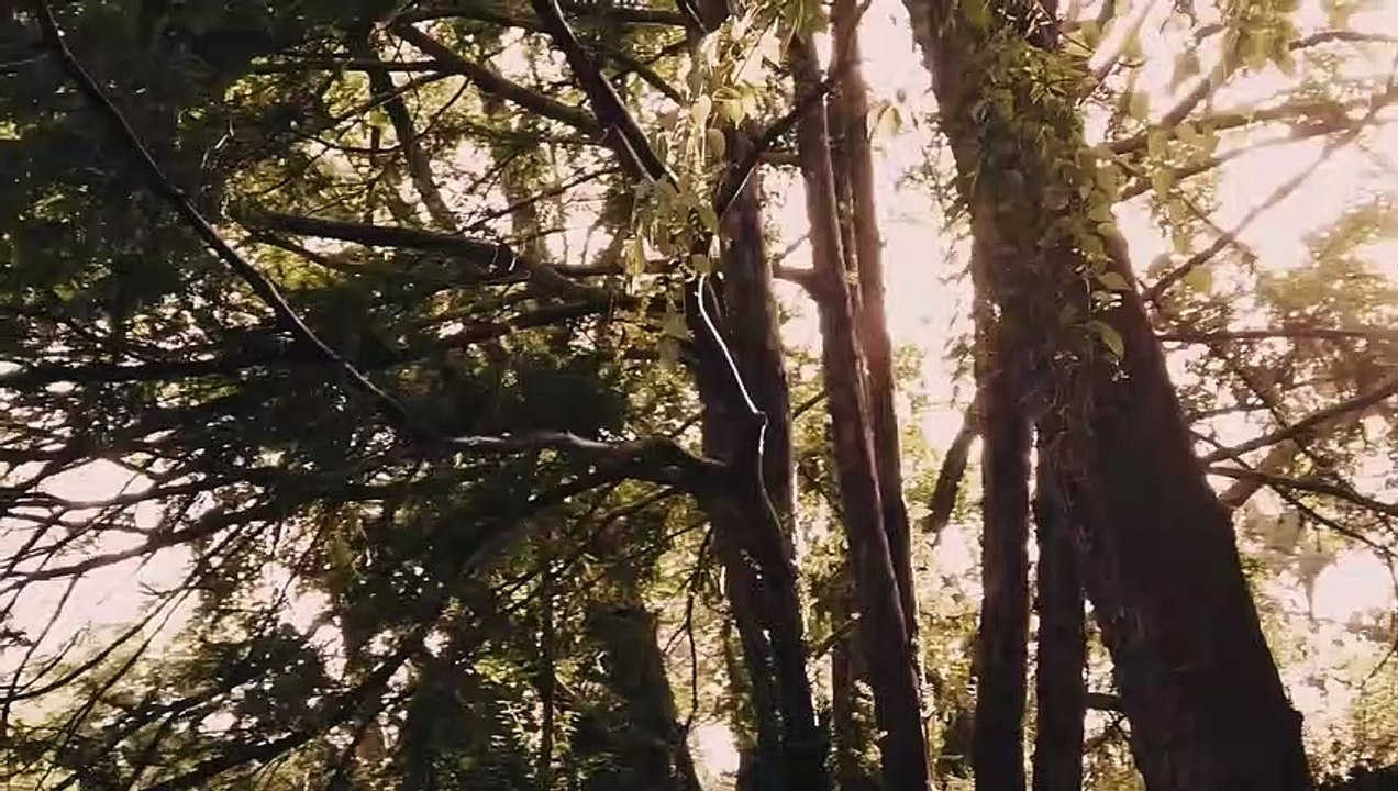 Die Boten des Todes | movie | 2022 | Official Trailer