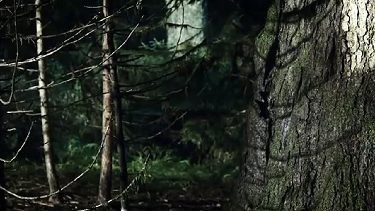 Das Kalte Herz | movie | 2013 | Official Trailer