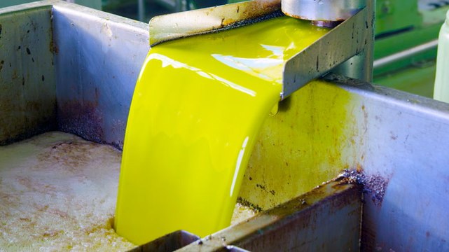 How 3 million gallons of olive oil are produced per year in Spain during crippling droughts