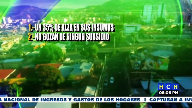 Precio de los huevos por los cielos, intermediarios anuncian nuevo trancazo
