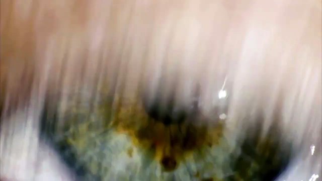 Gluck: Orfeo ed Euridice | movie | 2018 | Official Trailer