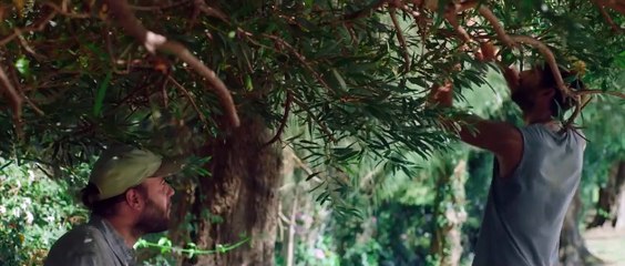 Акулы | movie | 2019 | Official Trailer