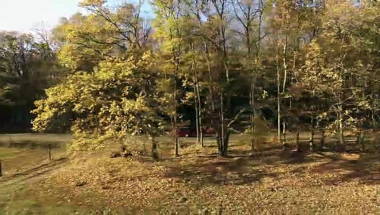 Paranormal Demons | movie | 2018 | Official Trailer