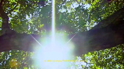 Niblock's Sound Spectrums − Within Invisible Rivers | movie | 2019 | Official Trailer