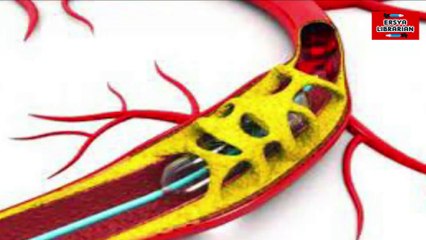 BAHAYA OBAT KUAT YANG WAJIB DIKETAHUI JIKA