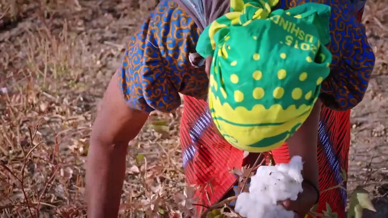 Fair Traders | movie | 2019 | Official Trailer