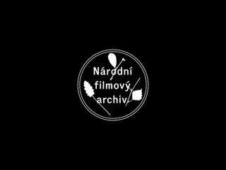 Hříchy lásky | movie | 1929 | Official Trailer