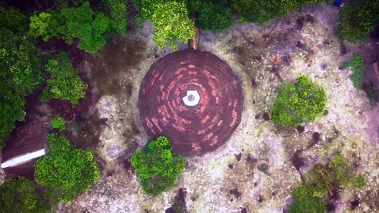 The Song That Calls You Home | movie | 2020 | Official Trailer