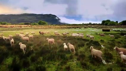 Santiago's path: disappearance and death of Santiago Maldonado | movie | 2018 | Official Trailer