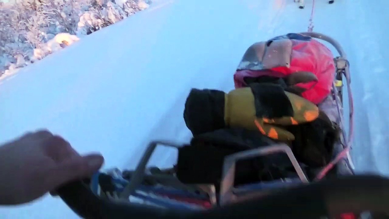 Voice of Nature | movie | 2019 | Official Trailer