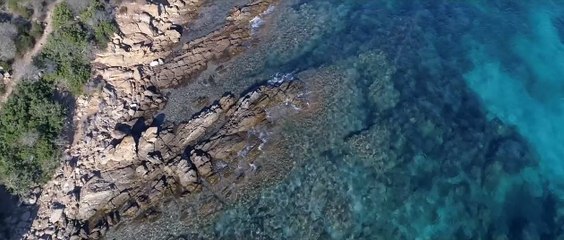 Come se non ci fosse un domani | movie | 2020 | Official Trailer