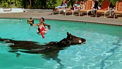 Gucci Of Course a Horse: The Spring Summer 2020 Campaign | movie | 2020 | Official Trailer