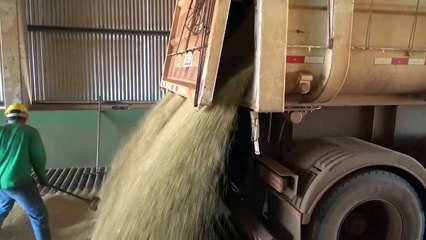 Landwirtschaft in Südamerika - Brasilien | movie | 2018 | Official Trailer