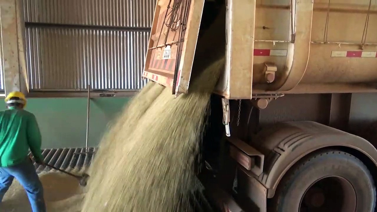 Landwirtschaft in Südamerika - Brasilien | movie | 2018 | Official Trailer