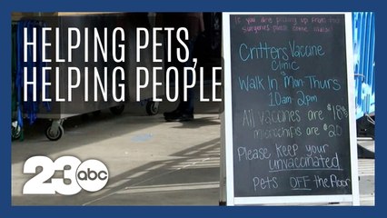 February is Spay and Neuter Awareness Month