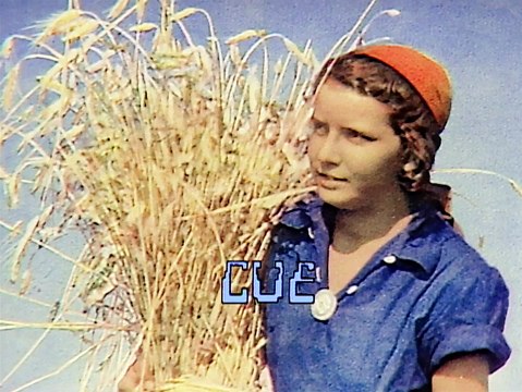 Yellow Magic Orchestra - Winter Live 1981 | movie | 1981 | Official Trailer