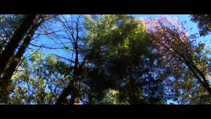 Out Of Our Minds | movie | 2009 | Official Trailer