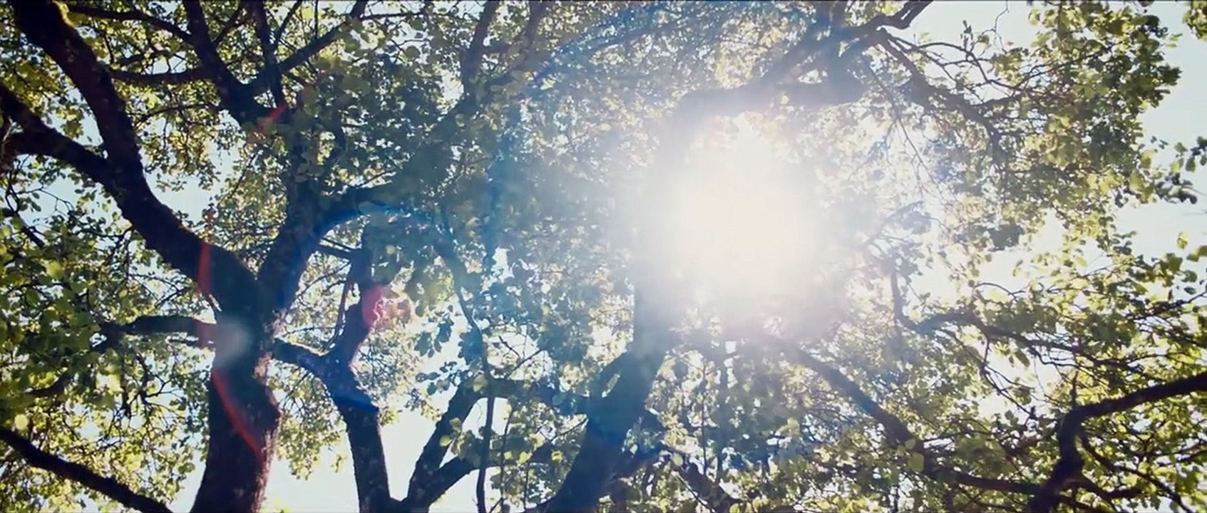 Von Fischen und Menschen | movie | 2020 | Official Trailer