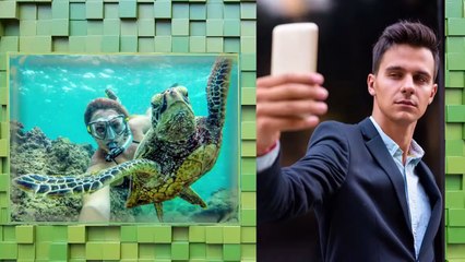 Селфи. Хаос и творчество | movie | 2021 | Official Trailer