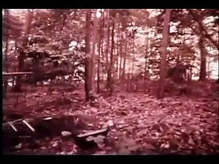 The Vandals | movie | 1972 | Official Trailer