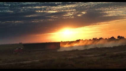 The Wind that Shakes the Sugar Canes | movie | 2022 | Official Trailer