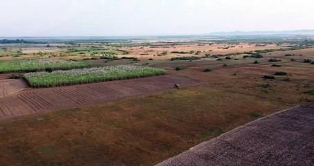 The Linesman: Both Sides Matter | movie | 2020 | Official Trailer