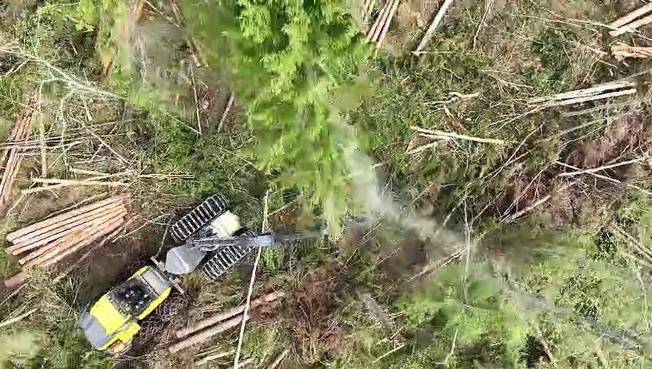 Landwirtschaft in Skandinavien Vol.2 | movie | 2022 | Official Trailer