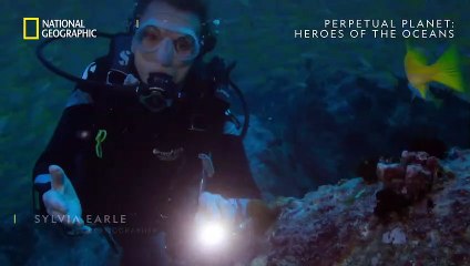Perpetual Planet: Heroes of the Oceans | movie | 2021 | Official Trailer