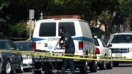 Unfinished Lives | movie | 2020 | Official Trailer