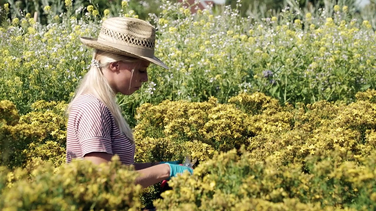 Die Kunst des Heilens | movie | 2021 | Official Trailer