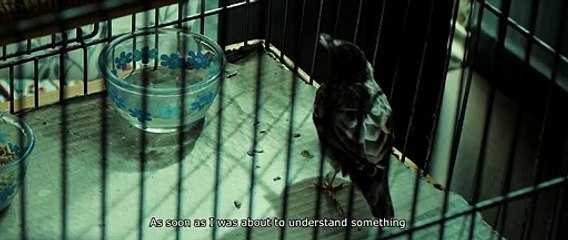 Who are we? | movie | 2020 | Official Trailer