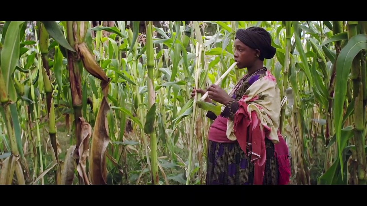 Unter uns Frauen | movie | 2021 | Official Trailer