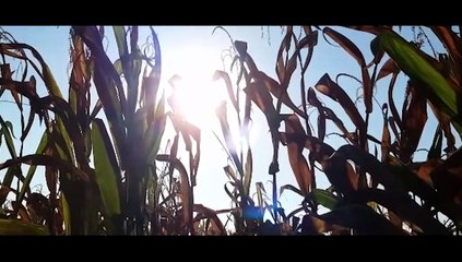 Eterno Ritorno | movie | 2020 | Official Trailer