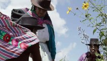 Tarcila: Indigenous Solutions to Climate Change from Peru | movie | 2020 | Official Trailer