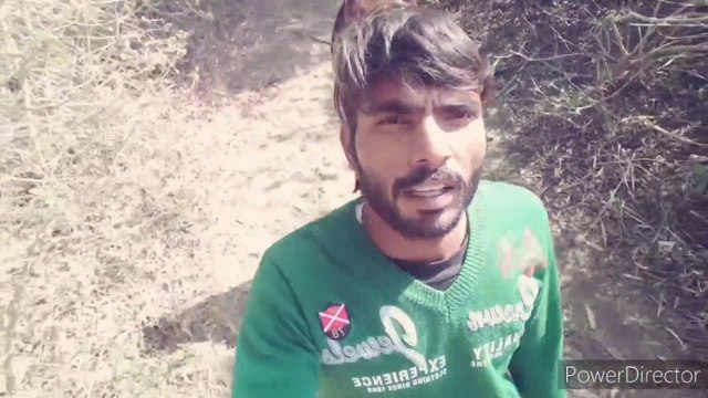 सरसो की फसल जल गई sarso ki fasal jal gei #vlog #vlogvideo #सरसों #myfirstvlog दोस्तो हमारा सरसो ठंड से जल गया sarso ki kheti सरसो की खेती खेती किसानी kisaan kisan kisan kheti #sarso