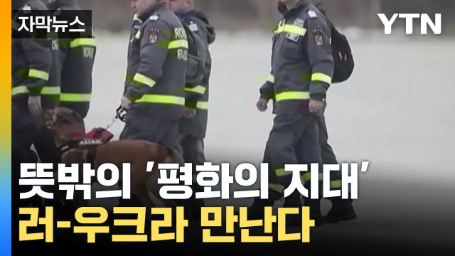 [자막뉴스] 뜻밖의 '평화의 지대'...러-우크라 여기서 만난다 / YTN