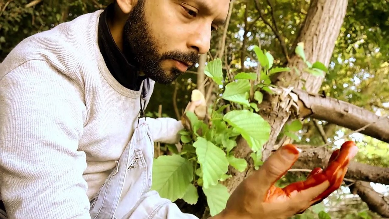 Fallen Angels | movie | 2021 | Official Trailer