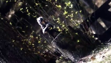 Pukkulapottas and Hours in the Forest | movie | 2021 | Official Trailer