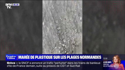 Le littoral normand touché à son tour par une pollution aux billes de plastique