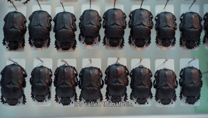 Exoskeletons | movie | 2022 | Official Trailer