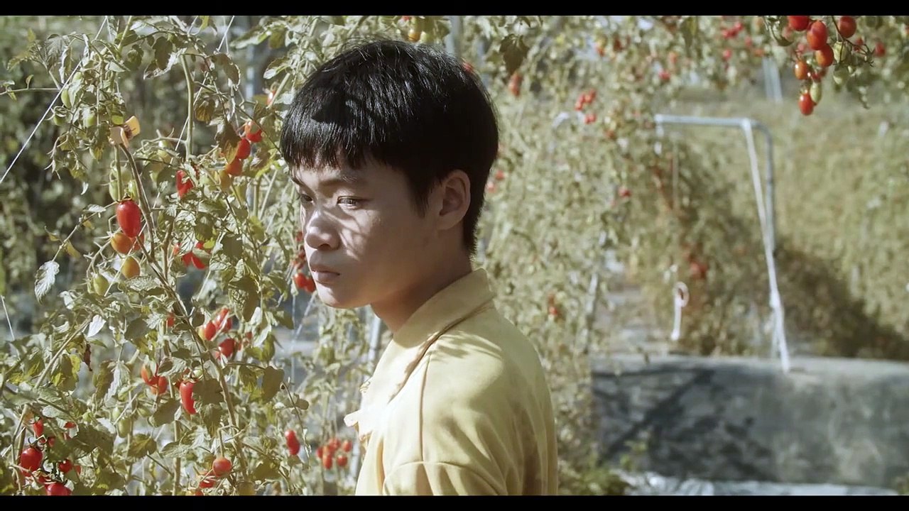 Into the Greenworld | movie | 2020 | Official Trailer