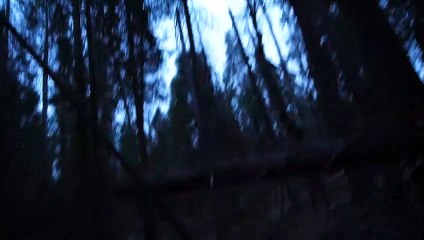 Ewok Hunt: A Star Wars Horror Story | movie | 2022 | Official Trailer