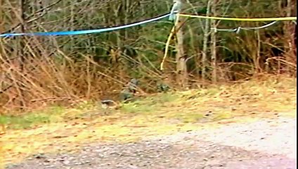 Sins of the Father: The Green River Killer | movie | 2022 | Official Trailer