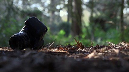 My Twisted Desire | movie | 2022 | Official Trailer