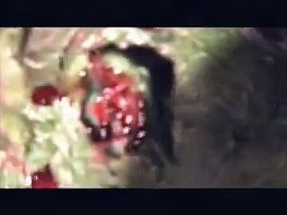 Marvel Zombies: The Movie (2008) – Official Trailer 🧟‍♂️