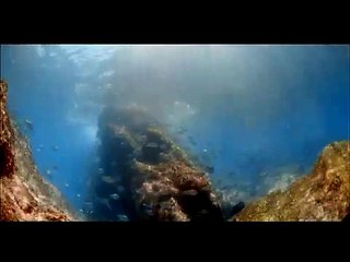 Imax - Oasis en el Oceano | movie | 2003 | Official Trailer