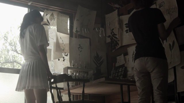 Omura Botanical Specimens | movie | 2015 | Official Trailer