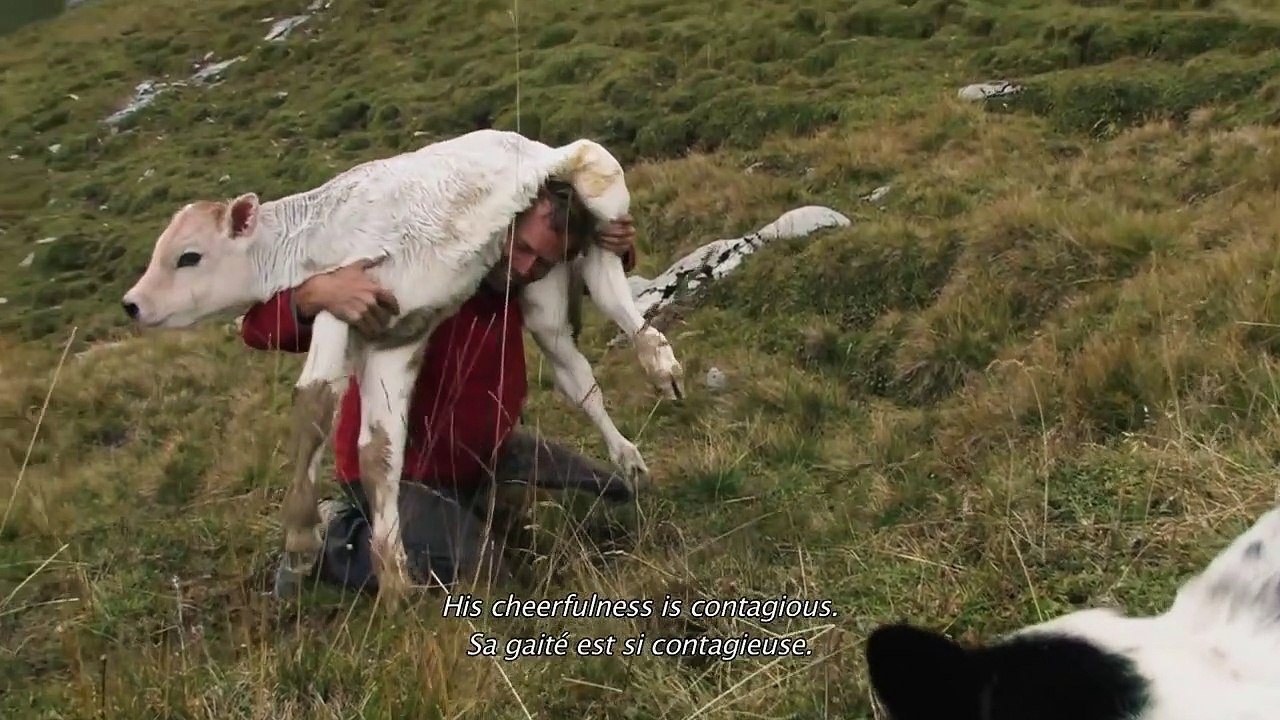 Alptraum - Das letzte Abenteuer | movie | 2016 | Official Trailer