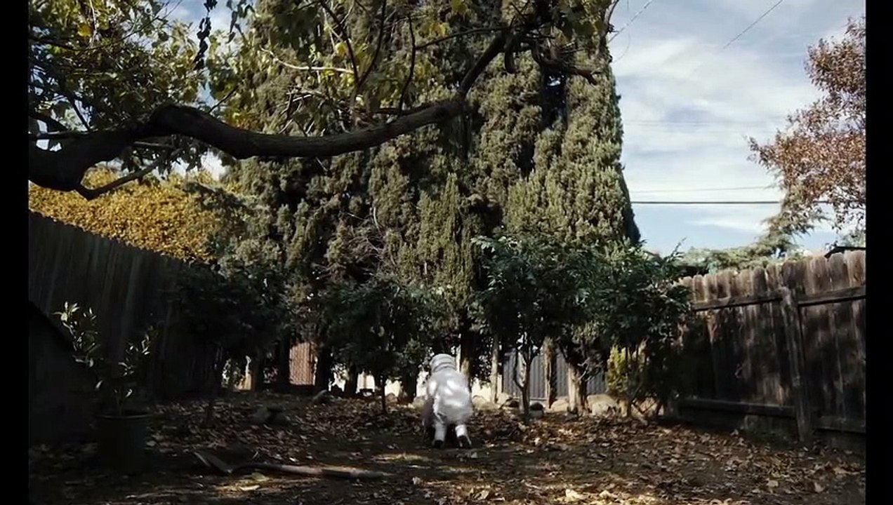 Spoonful Of Sugar Trailer OV